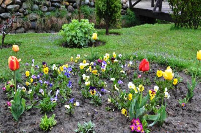 Himalaya House Hotel Pahalgam Ruang foto